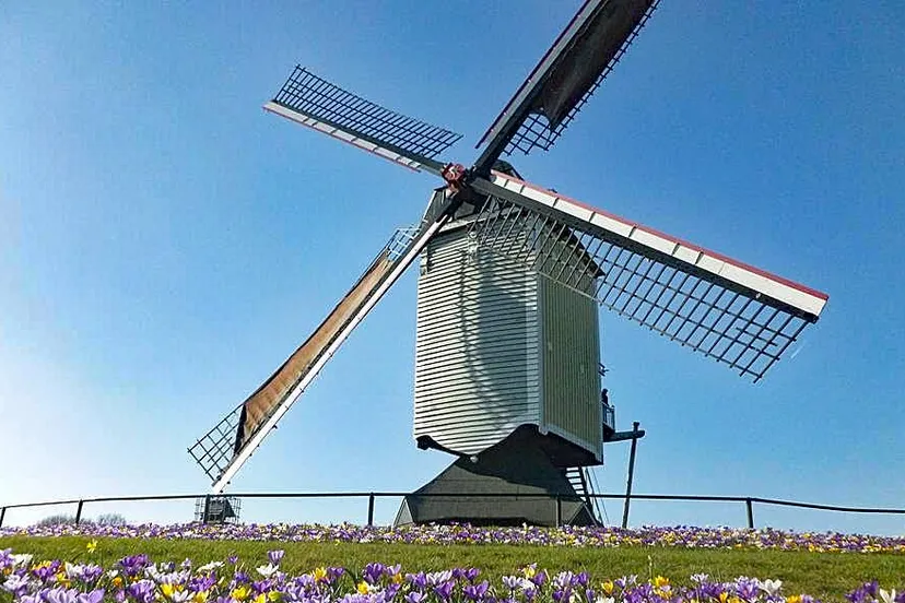 auroramolen baexem 2