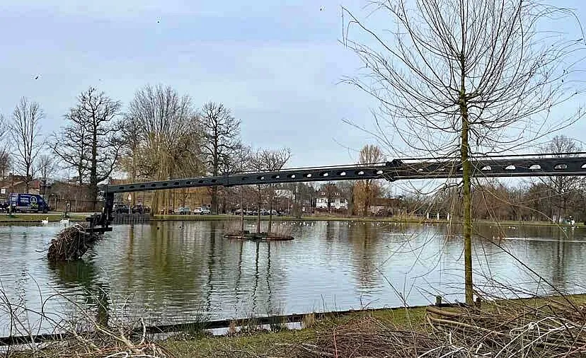 bosjes in de roeivijver voor beschermen jonge visjes