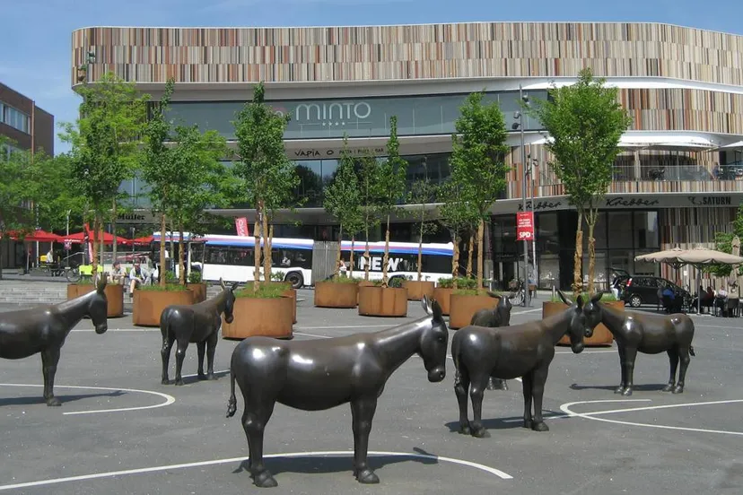 grensregio compact 34