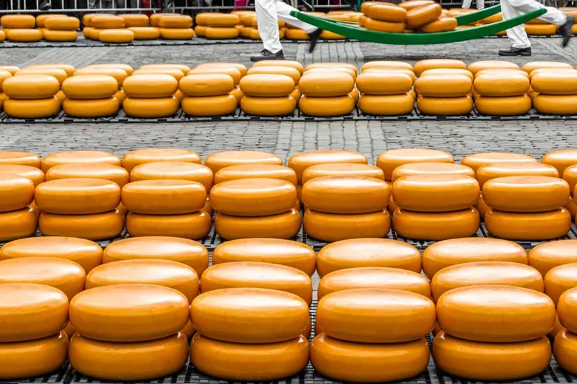 nederlandse kaas kaasmarkt alkmaar