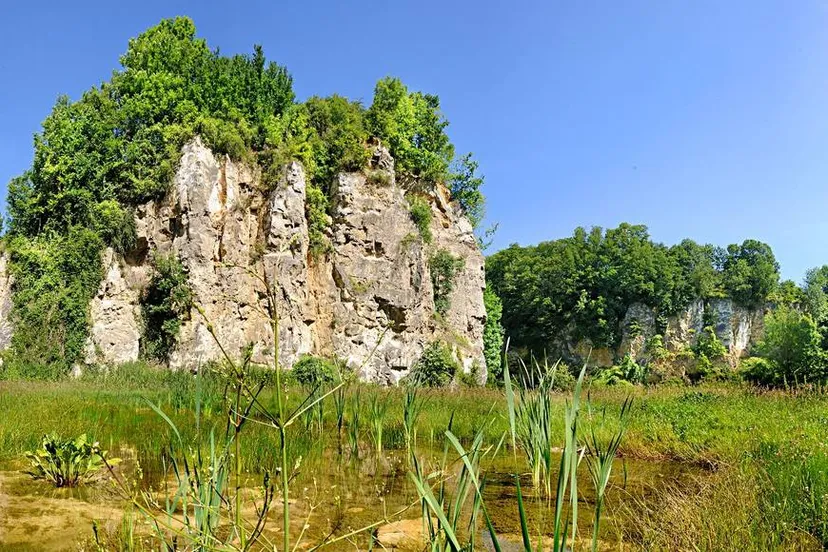 julianagroeve jacques peeters