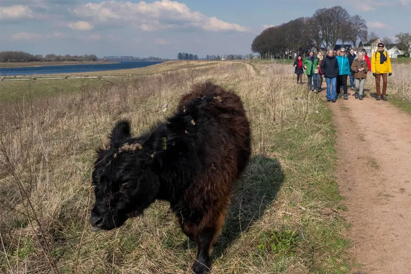 vrijwilligersweekend 2025