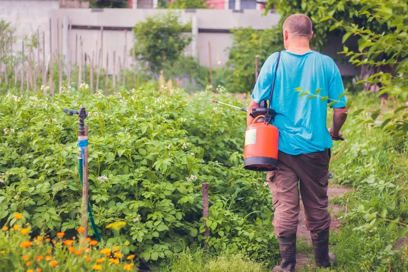 bestrijdingsmiddel spuiten 2