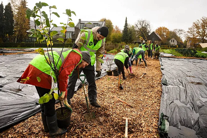 boer zoekt buur 115 1