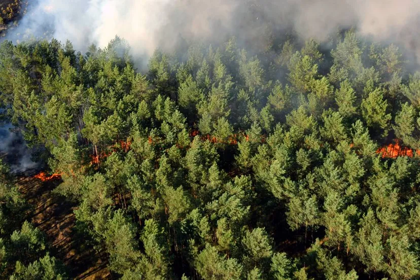 bosbrand gezien vanuit helikopter