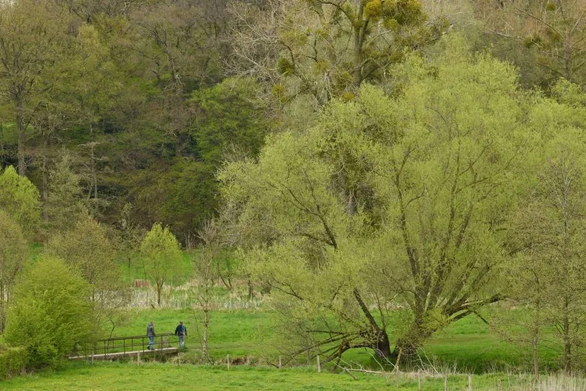 cottessen recreatie hli 0578jpg