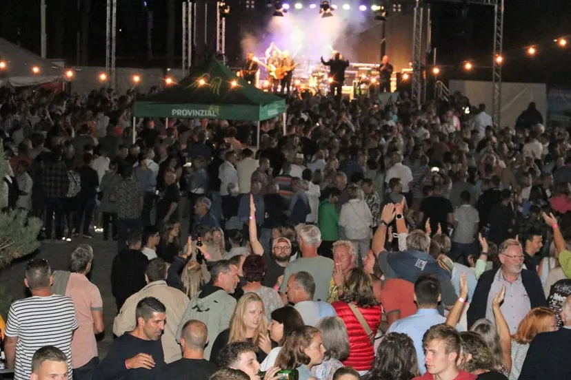 hohner masse hinteransicht