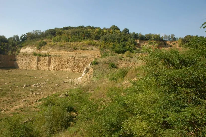 Curfsgroeve_SLL Henk Heijligers