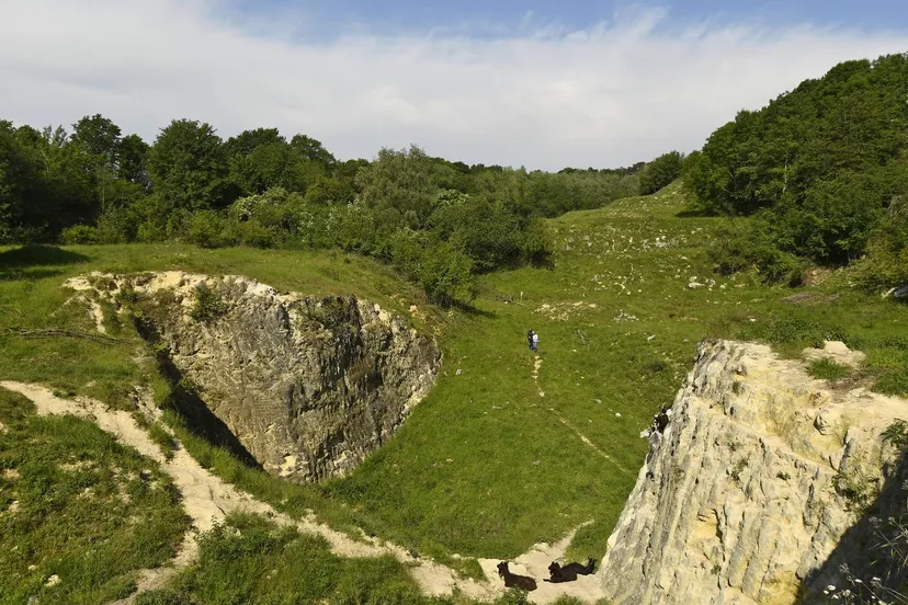 groeve blom henk heijligers