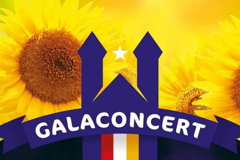 poster zonnebloem top