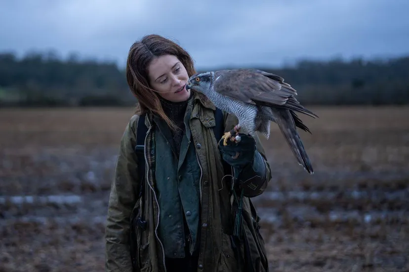 H-Is-For-Hawk_st_8_jpg_sd-low (1)