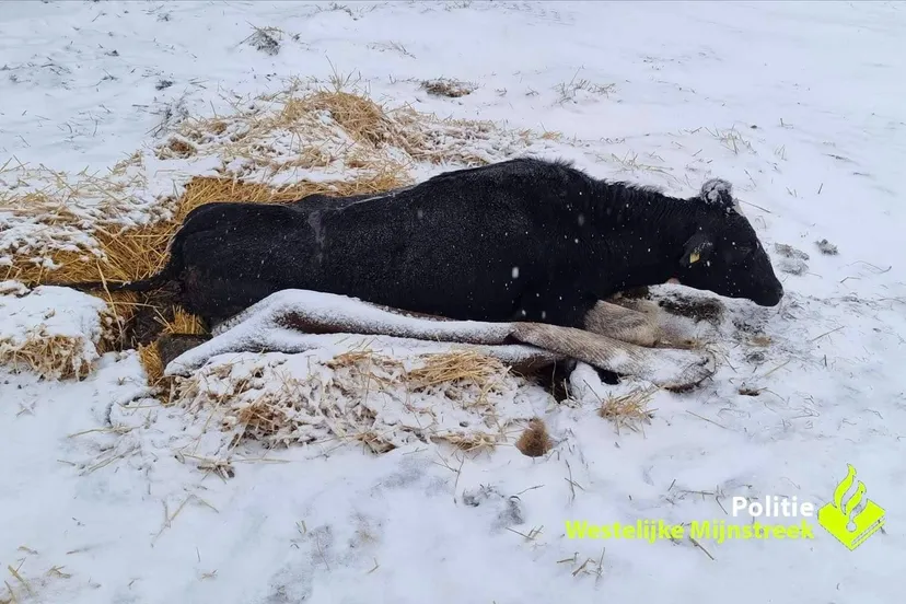 Politie Westelijke Mijnstreek 2