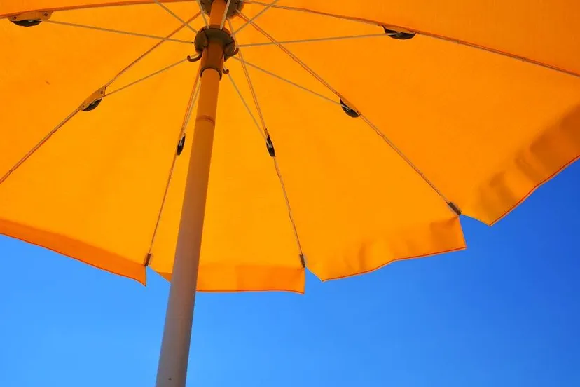 yellow-parasol adonyig, Pixabay