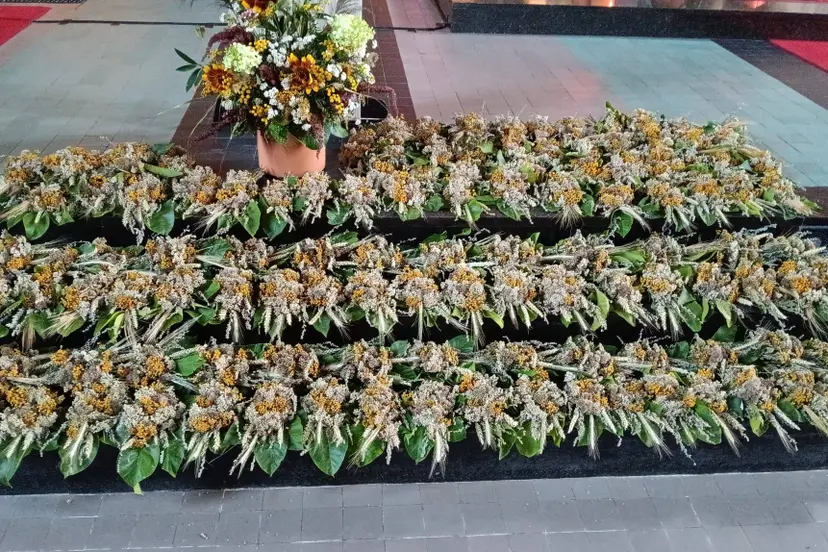 Kroedwusj