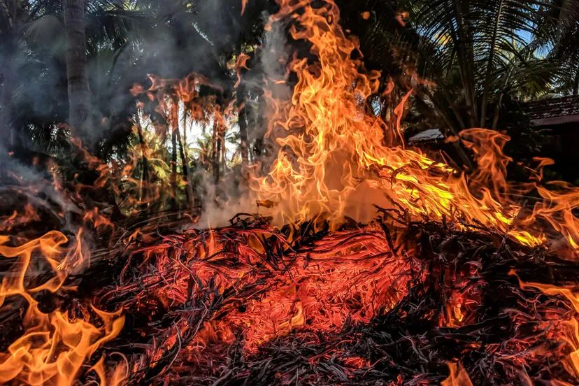 pexels ajaybhargavguduru 948270