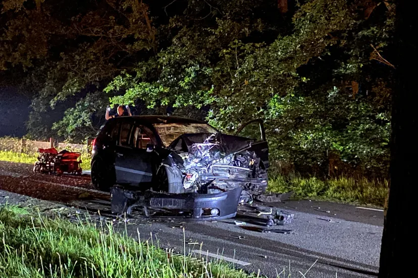 2001d116 6b3b 4e44 b17d afd82ea802df