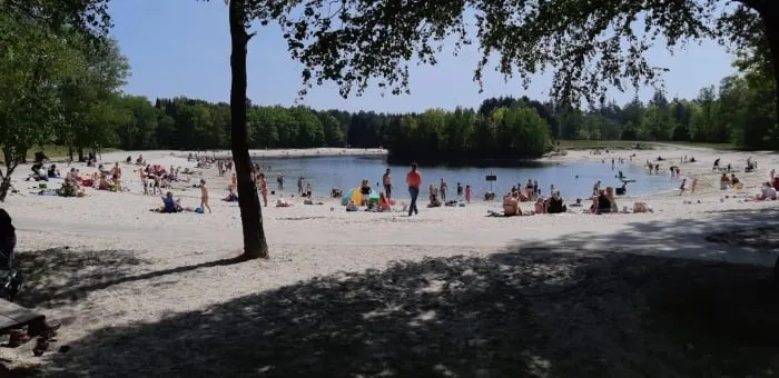 20200508 zwartedennen