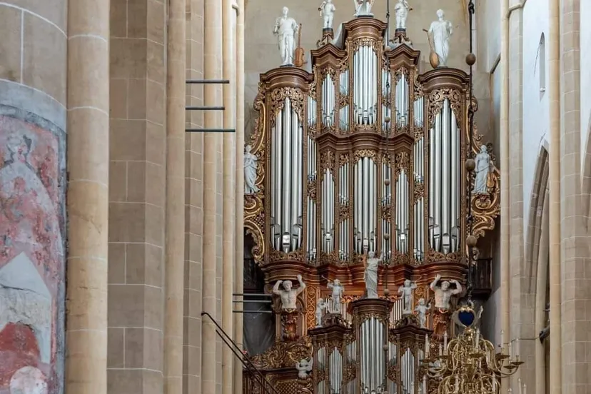 372026530 309673411733875 8064715680998391469 n