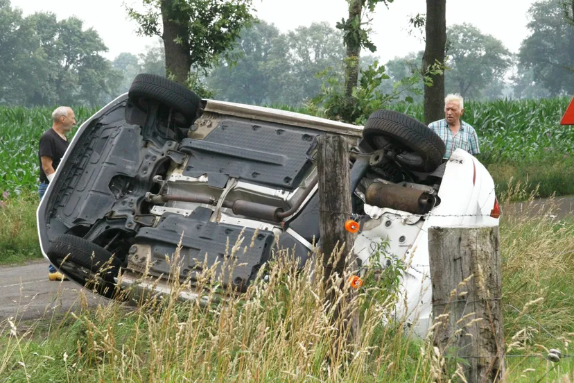 aviary image 1626181949275