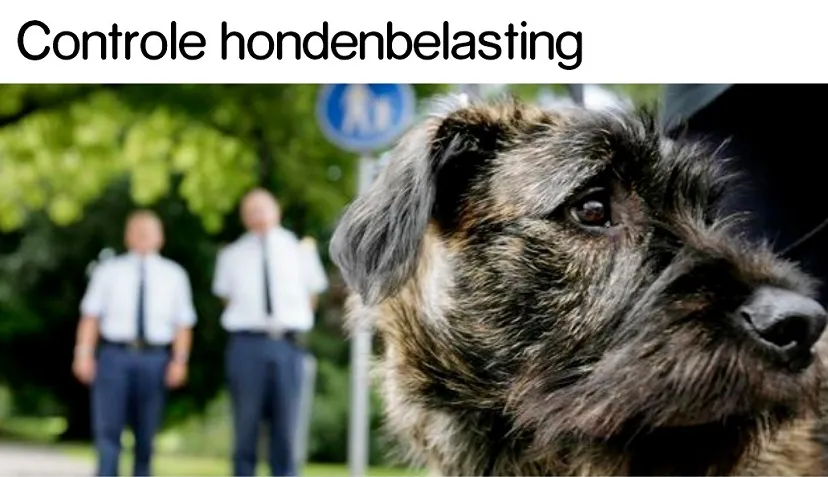 controle hondenbelasting