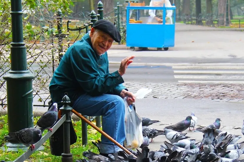 cropped man 257890 1920 via stichting hcr