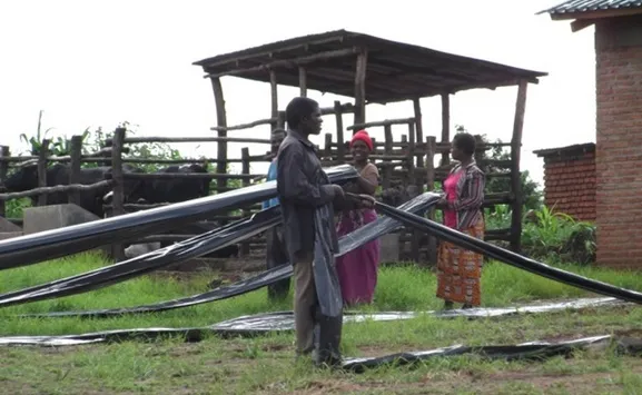 de weg vooruit 2 wim akster timotheos