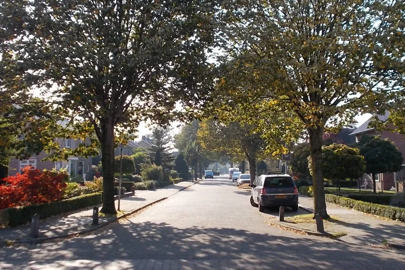 dscn0954 lindenlaan herfst e1447173522561