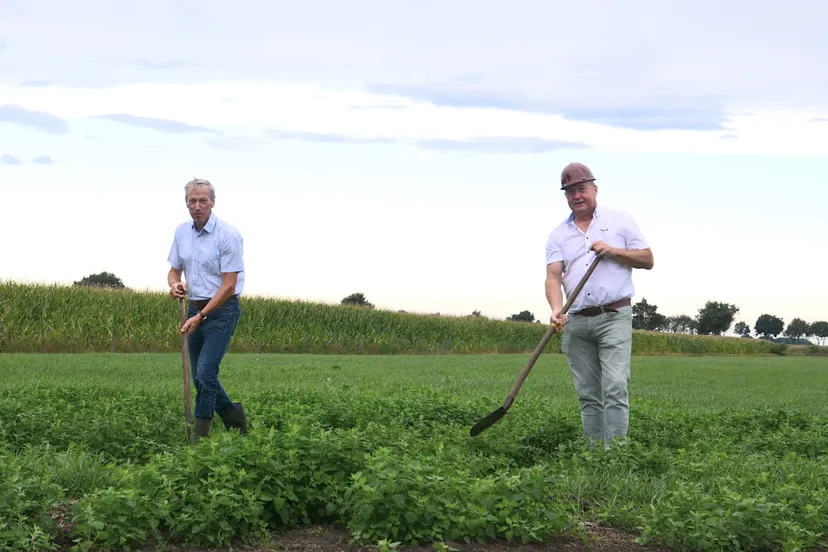 eerste schop in de grond