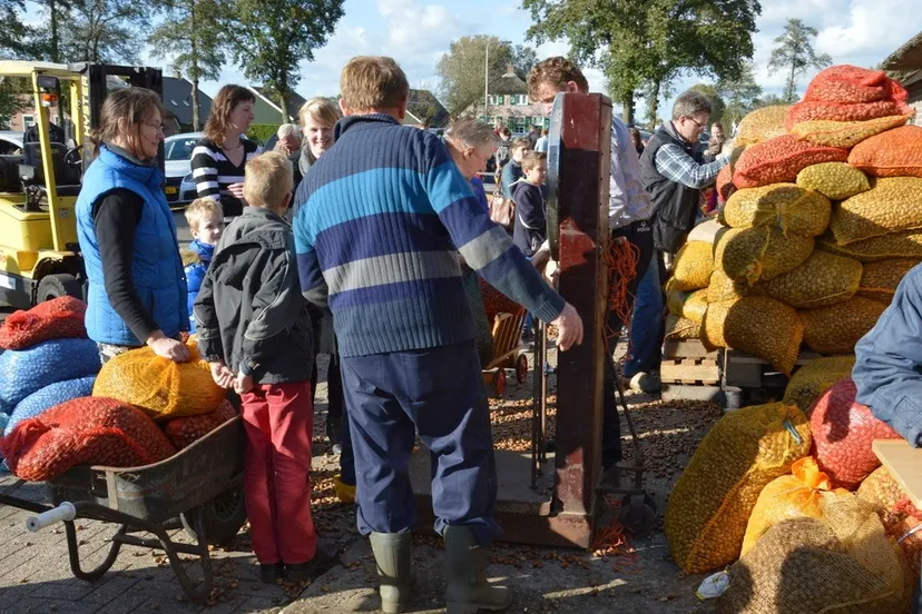 eikels inzameling staphorst 30oktober13 52 e1444676889205