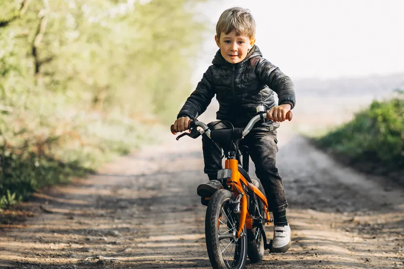 fietscontrole basisscholen gemeente staphorst