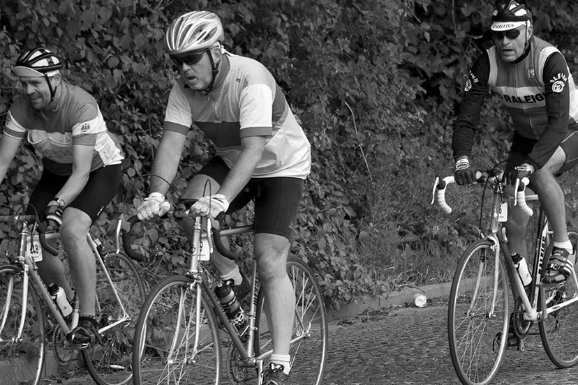 foto stalen ros foto egbert tuin e1436815079192