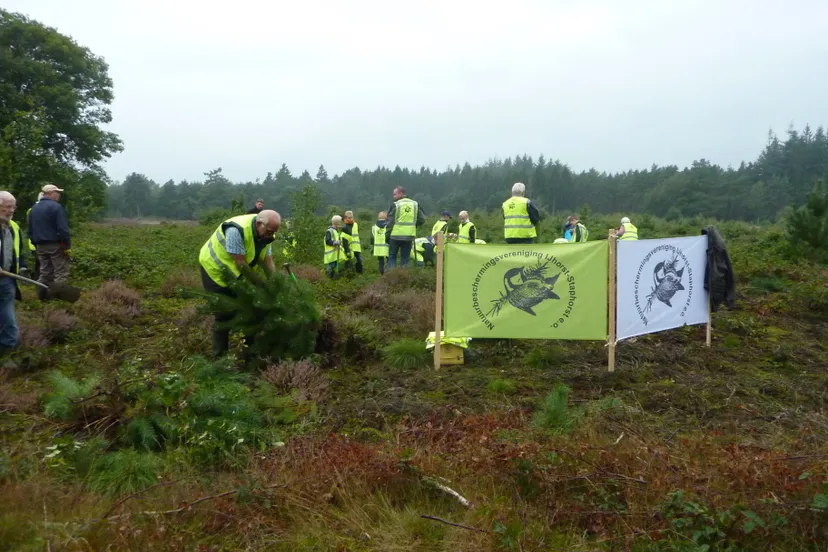 heidezuivering september 2015 1