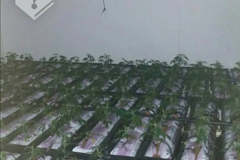 hennep schoonstersland