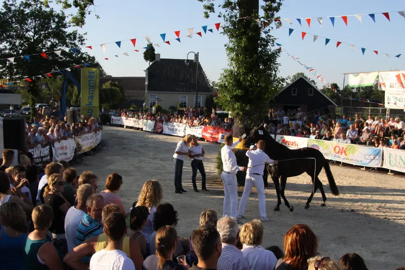 img 73651 e1432123624939