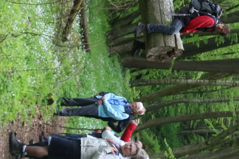 img 9223 e1463402923354