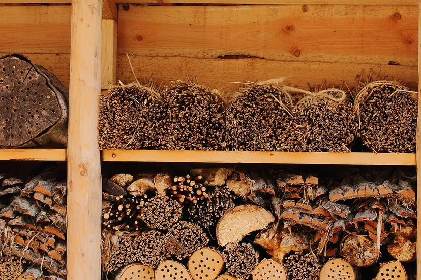 insectenhotel e1447440216411