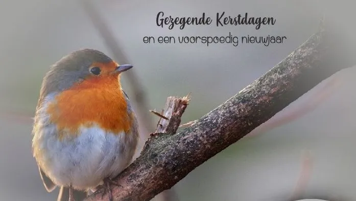 kaart 2140187011 adullam