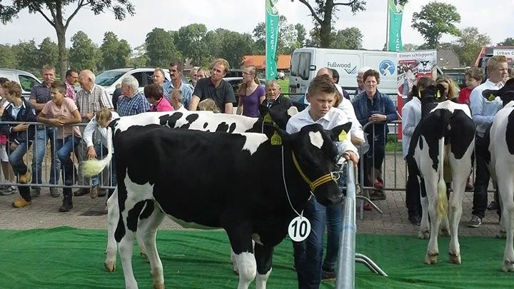 kalverkeuring koc staphorst rouveen eo facebookjpg e1432197248340