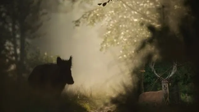 kroondomeinen het loo e1444769972461