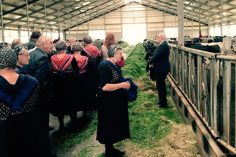 landmans welvaart op kaasboerderij tijnje friesland e1441731240346