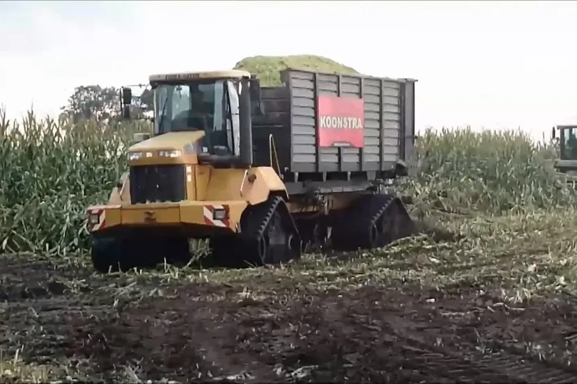 mais op rupsbanden van het land af