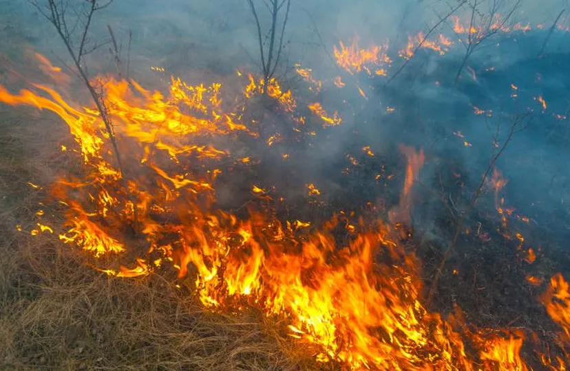 natuurbrand politie staphorst