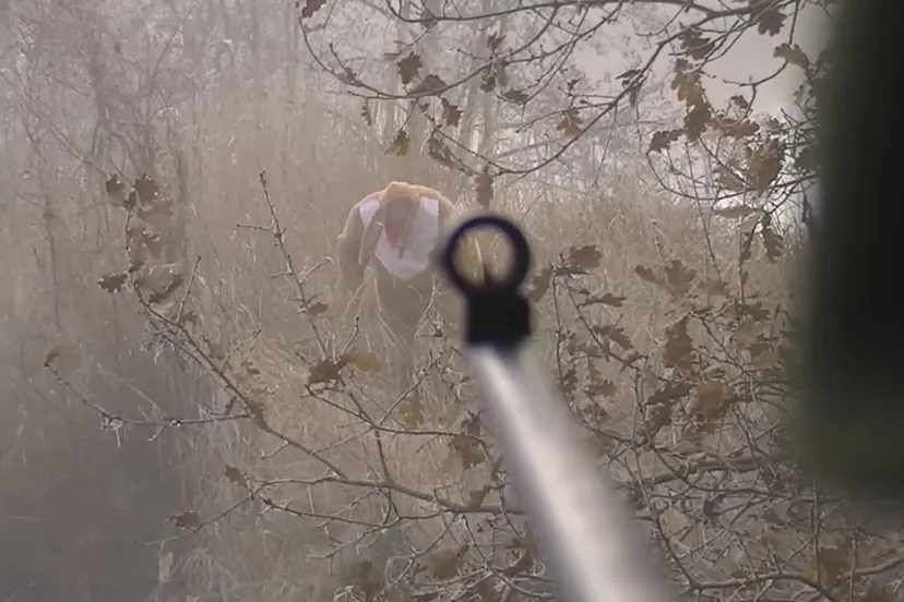 screenshot zonuendan thema jacht klompenrace 2016