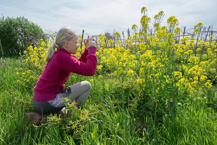 veldschuur rouveen educatieve les1