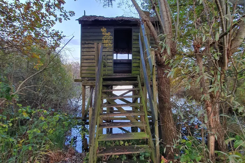 vogelkijkhut olde maten