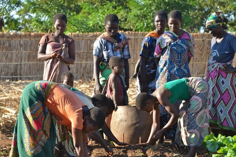 vrouwen in het ontwikkelingsproject in dorp planten uien stichting stphanos e1463736906765