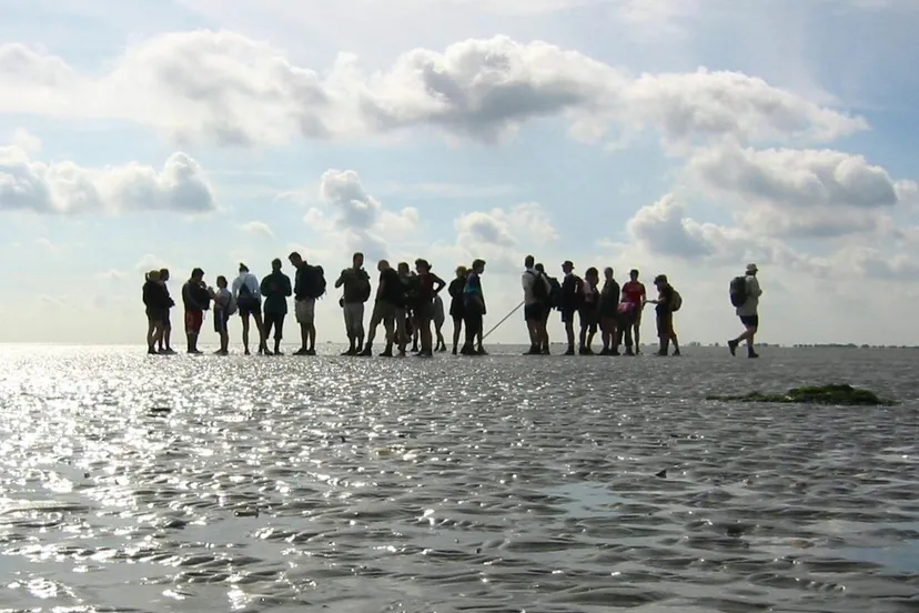wadlopen bij pieterburen 02a e1445873487426