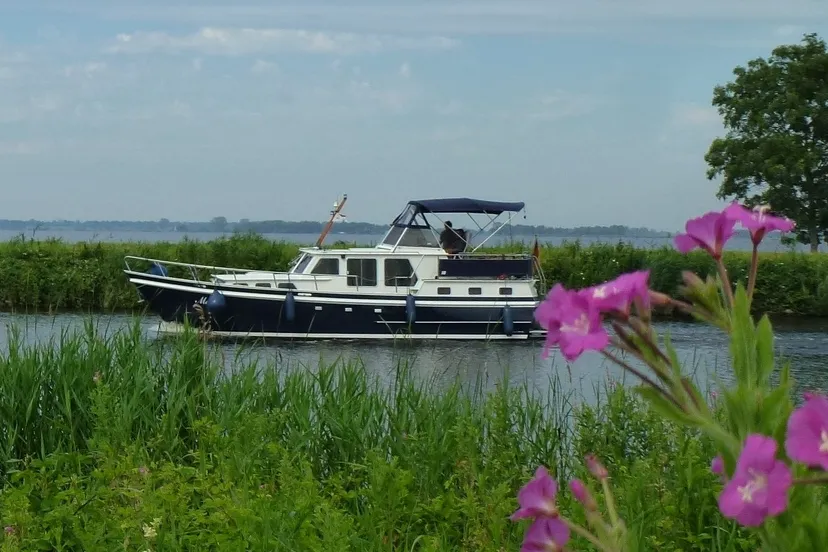 wannep e1440280914329