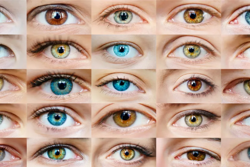 wat voor burgemeester heb jij op het oog gemeente staphorst