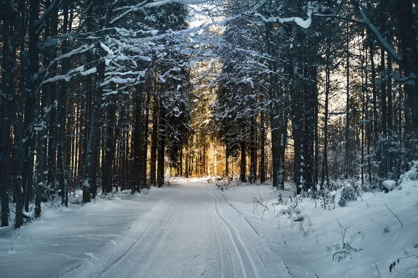 winterfoto affiche comite adullam